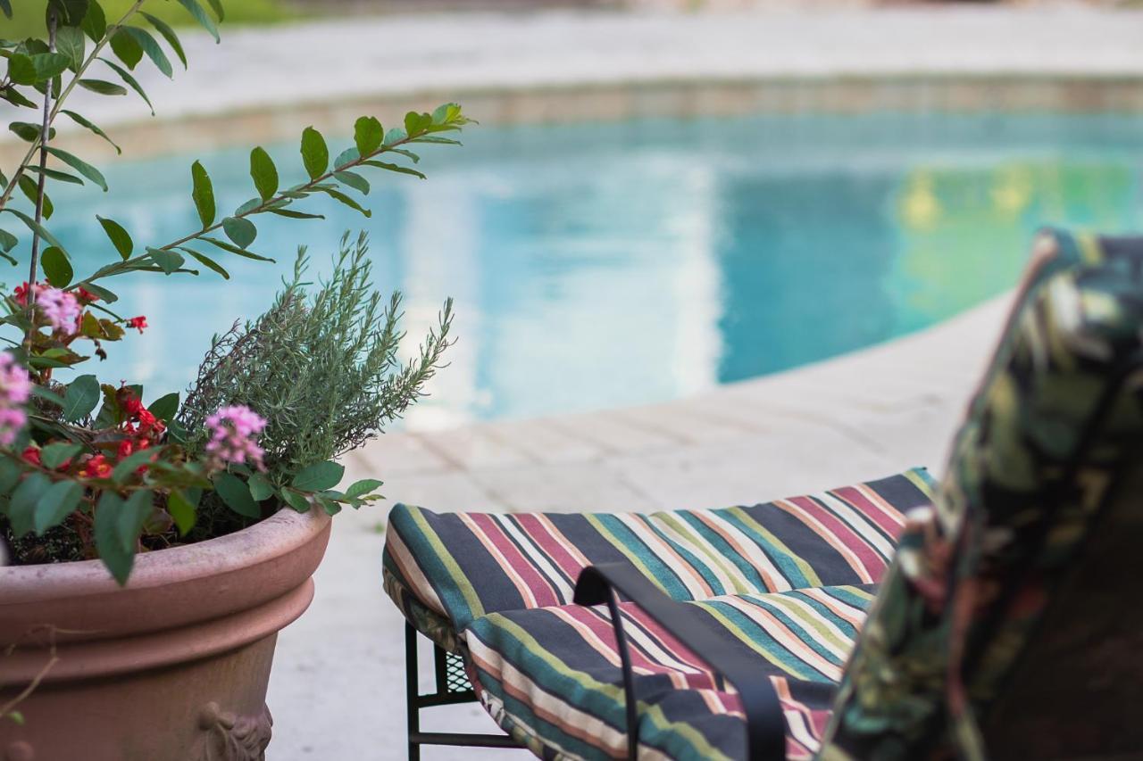 Chez Palmiers B&B Νέα Ορλεάνη Εξωτερικό φωτογραφία